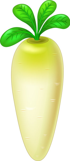 萝卜蔬菜卡通孤立图片下载