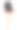 用黑色海绵进行日常清洁和清洗。孤立在白色背景上。图片下载