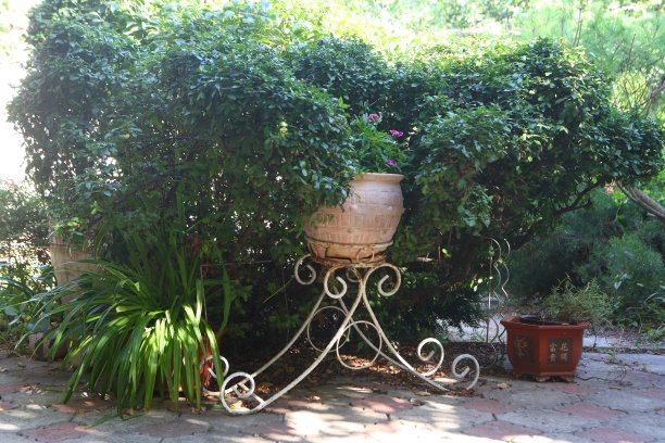 美丽的风景在这个国家图片下载