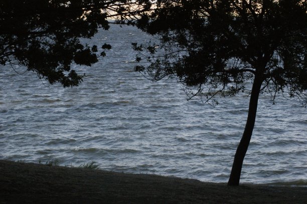 公园区内的秋景图片下载