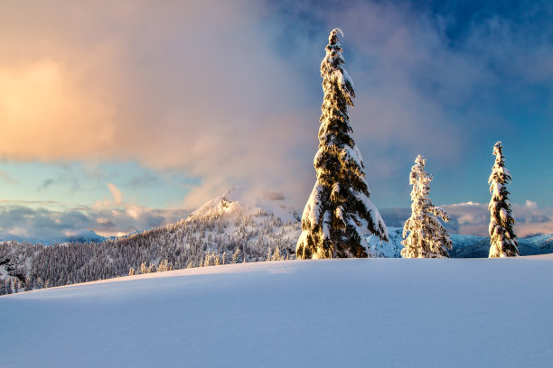 在加拿大不列颠哥伦比亚省温哥华市，冬季的雪景覆盖了皇冠山图片下载