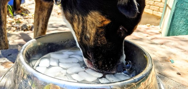 吹泡泡图片下载