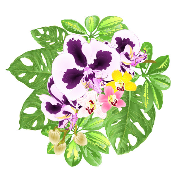 带有热带花卉的花束图片下载