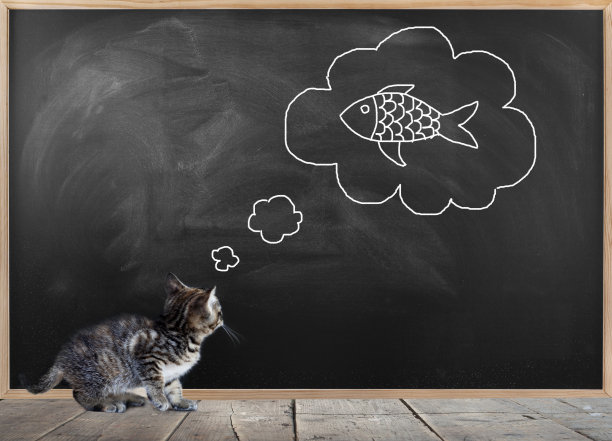 小猫在黑板前想着食物图片下载