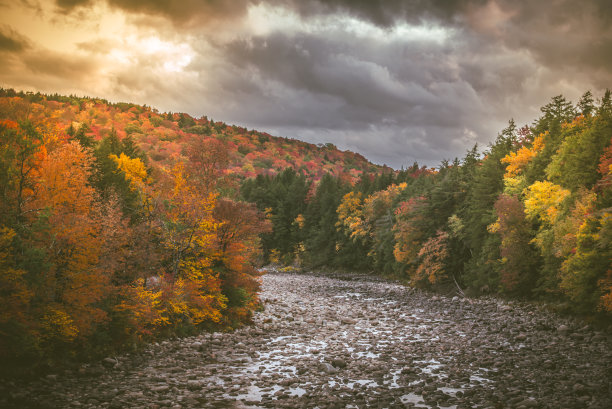 重阳节素材ID：383886630