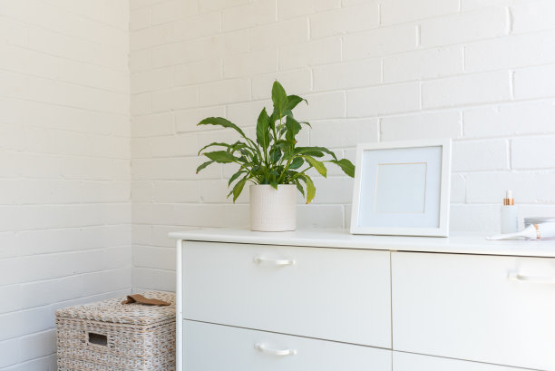 白色梳妆台靠墙摆放着盆栽和相框图片下载