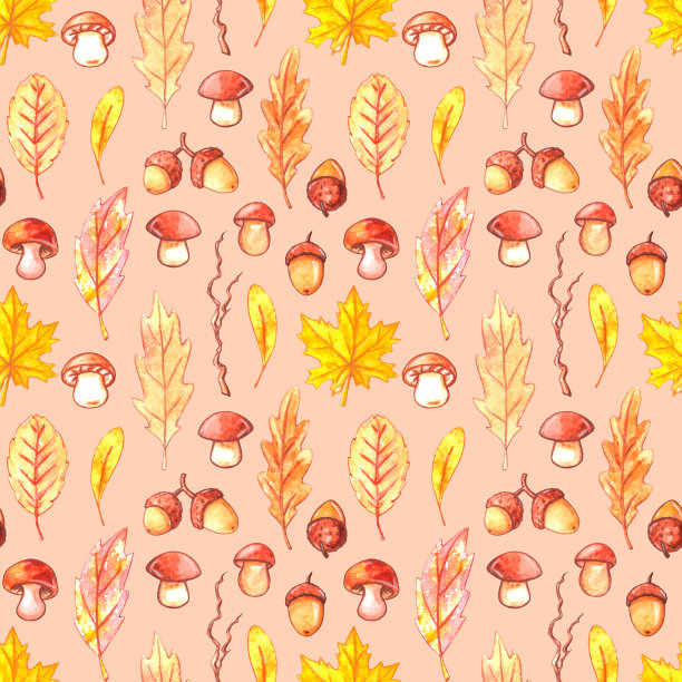 水彩画无缝图案孤立插图，秋天集合，落叶，蘑菇，橡子，树枝。森林主题，快乐秋天，复古壁纸图片下载