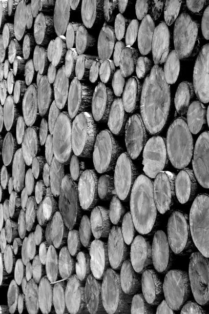 一堆木头图片下载
