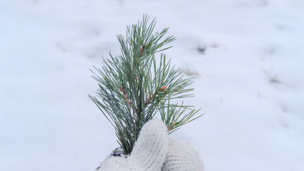 你好,冬天的概念图片下载