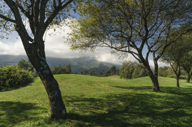 风景与树木与柔软的绿色山丘，山脉和白云的背景在西班牙阿斯图里亚斯。图片下载