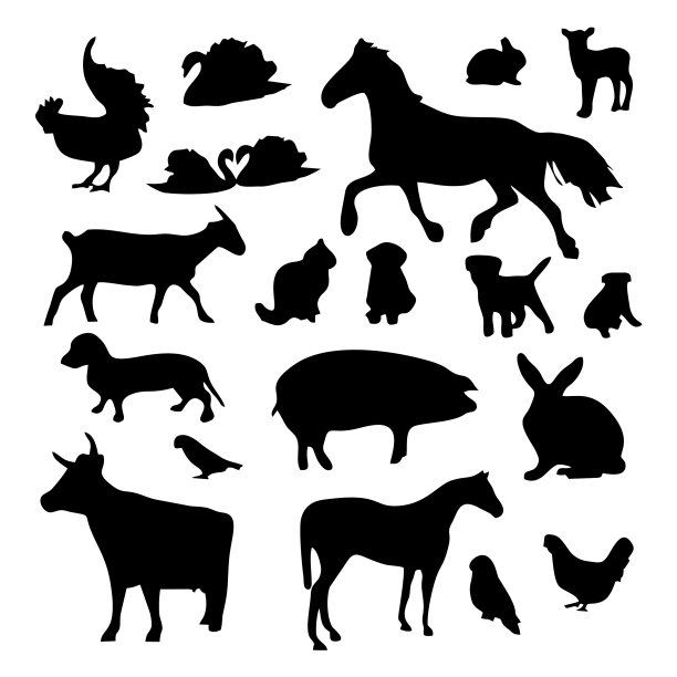 家养动物形象图片下载