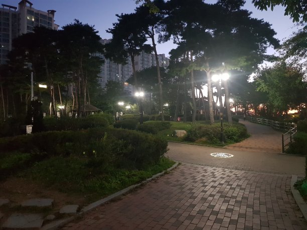 今天的早晨图片下载