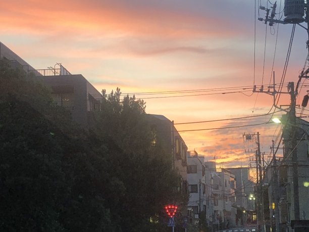 美丽的日落图片下载