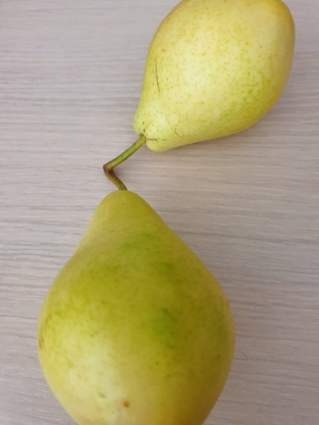 梨维系图片下载