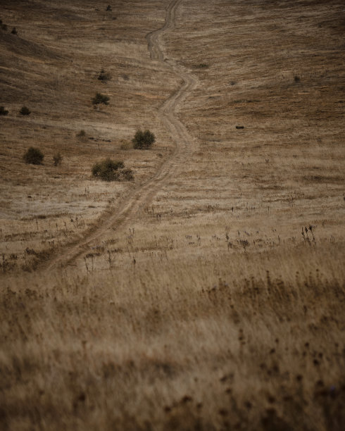 秋天，Jahorina山上的草丛中有一条长长的小路图片下载