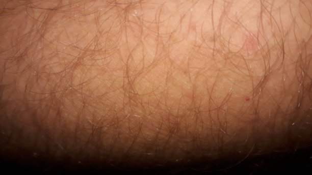 人的皮肤和头发图片下载