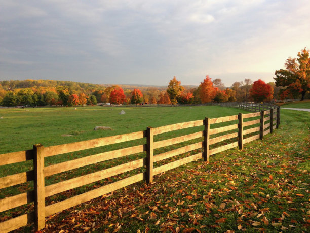 切斯特县的秋天图片下载