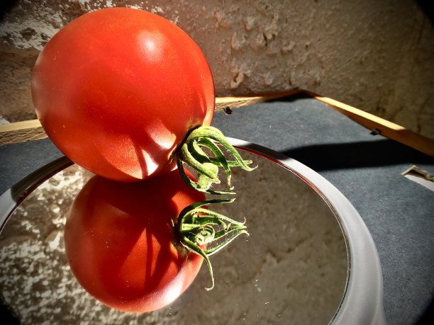 一个红色多汁的西红柿-反射图片下载