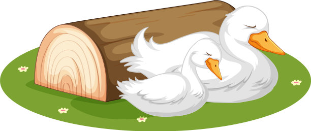 可爱的鸭子睡在草地上图片下载