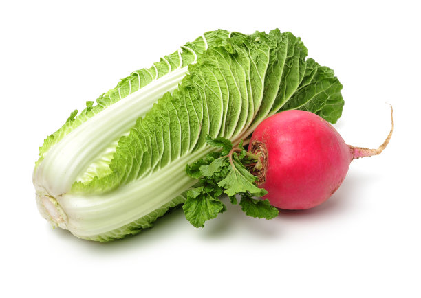 新鲜的大白菜和萝卜图片下载