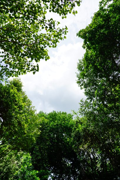弹簧框架上的天空背景图片下载