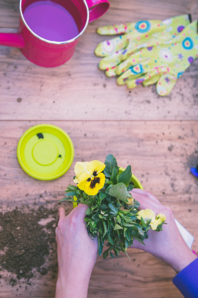 春天的花园工作。园艺工具和花卉图片下载