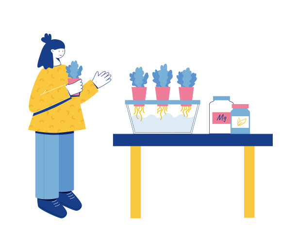 水培法概念图片下载