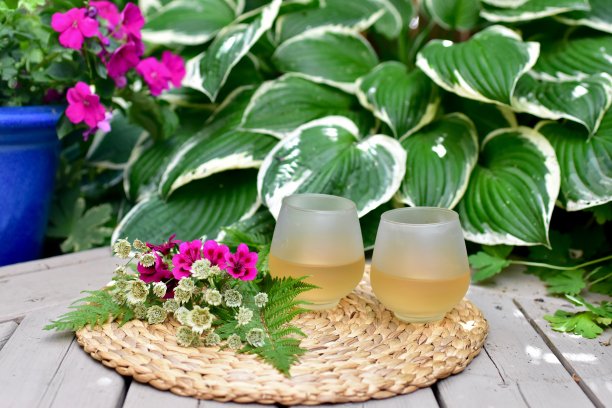 户外露天设置在美丽的庭院设置享受一个可爱的晚上在温暖的天气图片下载