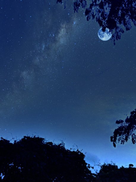 月光下的爱情图片下载