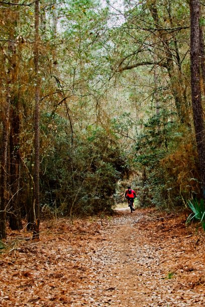 森林里穿着红夹克的自行车骑手图片下载