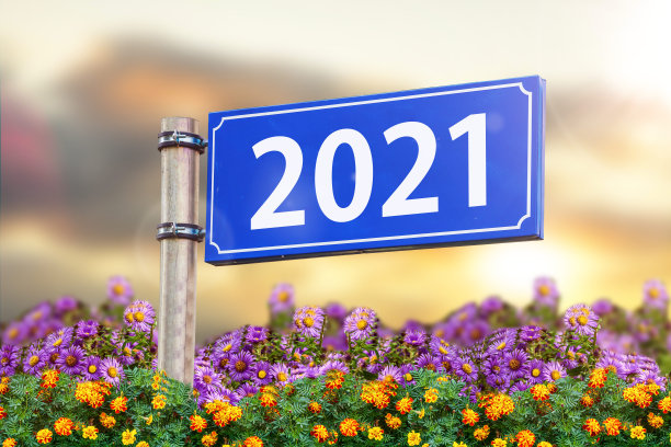 2021年的路标，夕阳下的天空和鲜花。图片下载