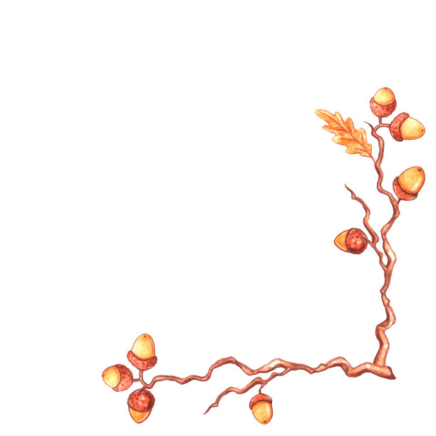 自然的设计集合-角落水彩元素制成的橡子，橡树叶和树枝。秋天的森林装饰。快乐的秋天图片下载