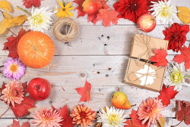 感恩节快乐概念，明信片秋天的背景与季节梨，南瓜，苹果和花在木制的背景，选择性的焦点。收获,图片下载