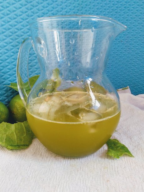 绿汁在玻璃罐中图片下载