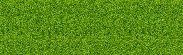 双色调绿色涂层的现实经典足球场图片下载