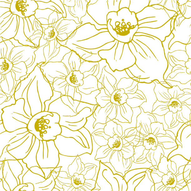 花无缝图案与水仙花的轮廓。图片下载