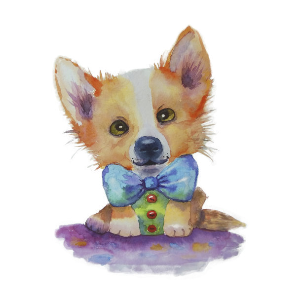 小狗科尔吉图片下载