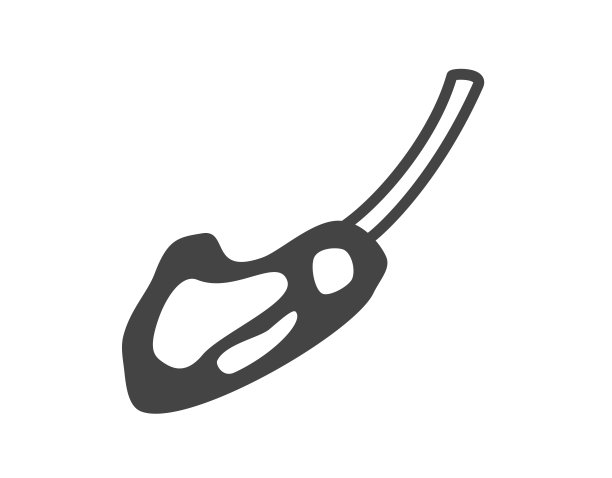 孤立的羊肋排。羊肋排的象征。意味着图标。烧烤图标。图片下载