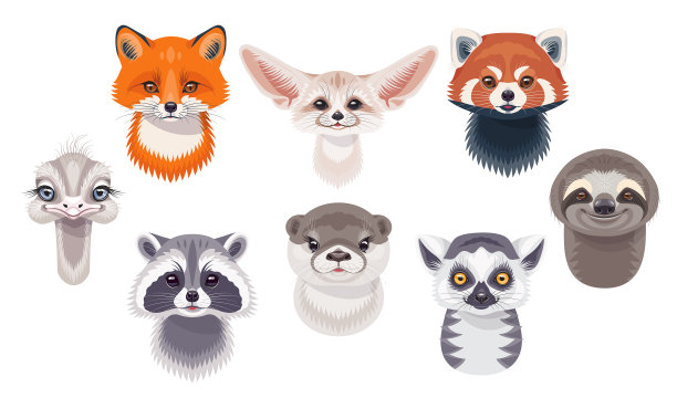 有趣的野生动物设置在白色图片下载