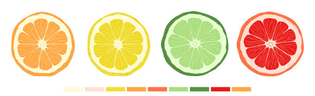 套柑橘片酸橙，橙，柚子图片下载