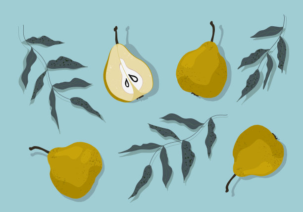 收集孤立的手绘梨果实图片下载