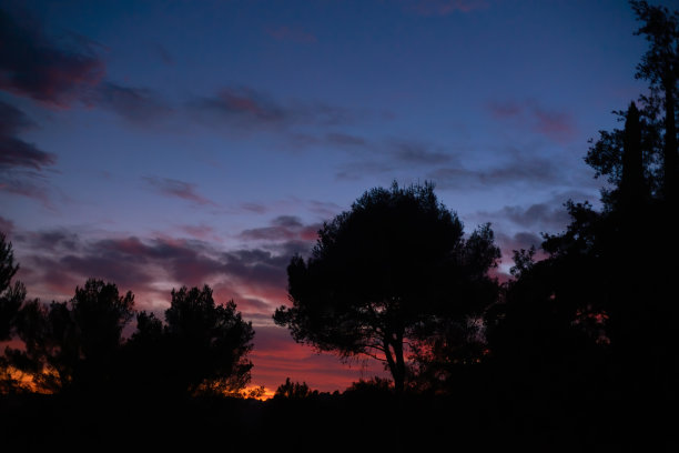 美丽的冬季日落与剪影的树木和蓝色，橙色和紫色的天空。图片下载