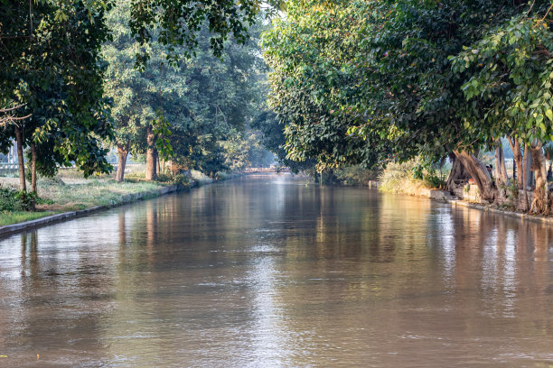 无人机拍摄的运河西侧面向晨仓照片。图片下载