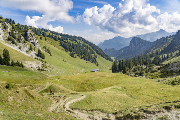 在布伦泽瓦尔德山区骑电动山地车的老妇人图片下载