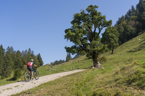 在布伦泽瓦尔德山区骑电动山地车的老妇人图片下载