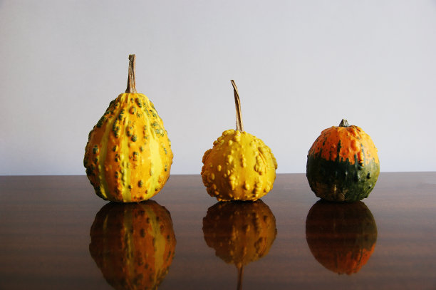 装饰南瓜。桌子上有三个装饰用的南瓜图片下载