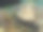 《海参》，斯特里切尔·西瓦尔兹(博哈德希亚·格雷菲)图片下载