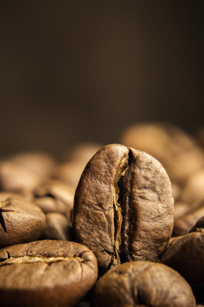 烘焙咖啡豆特写与软背景和选择性的焦点。垂直的侧面。艺术微距照片与复制空间标签或广告设计图片下载