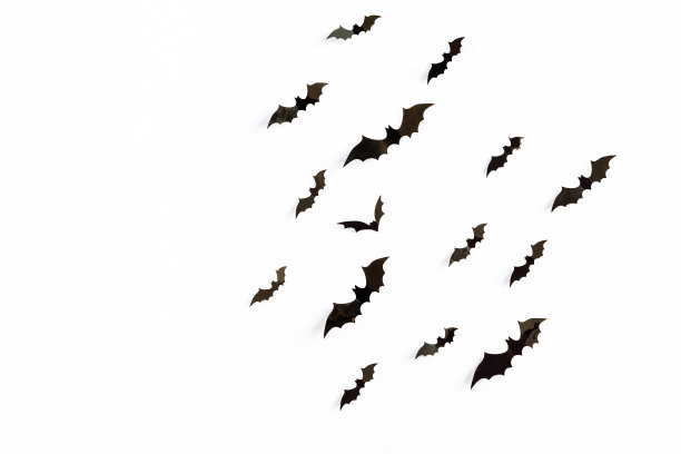 飞行蝙蝠群被隔离在白色背景上。万圣节的象征。图片下载