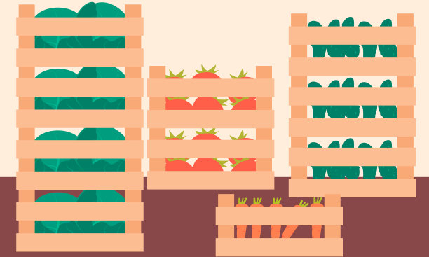 仓库里的新鲜蔬菜装在木箱里图片下载